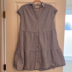 Striped Blue and White Button-Down Dress